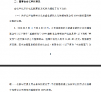 上市公司2018年度归